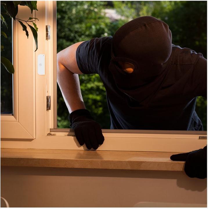 Produktbild Tellur TLL331091 door/window sensor Wireless White