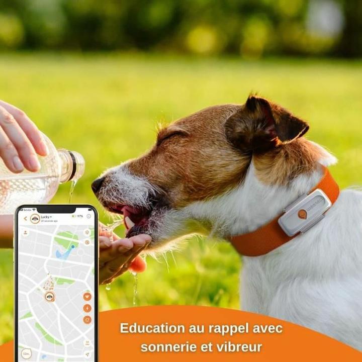 Produktbild Weenect GPS-Tracker (Hund, Allgemein)