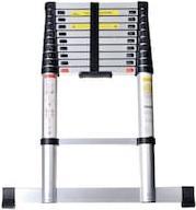 Actual product image pavo Head (Telescopic ladder, 320 cm)