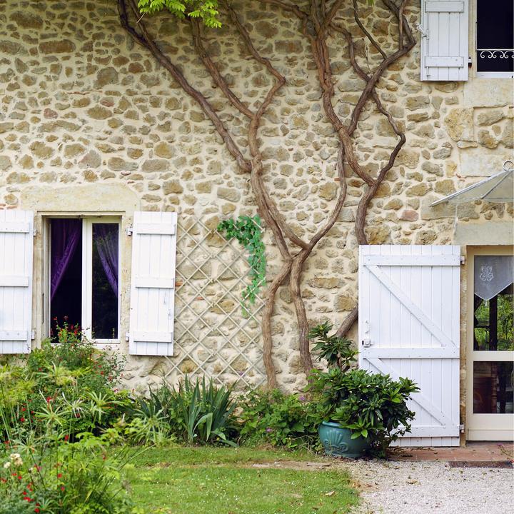 Image du produit Relaxdays 3x treillis (1.50 cm, 60 cm)