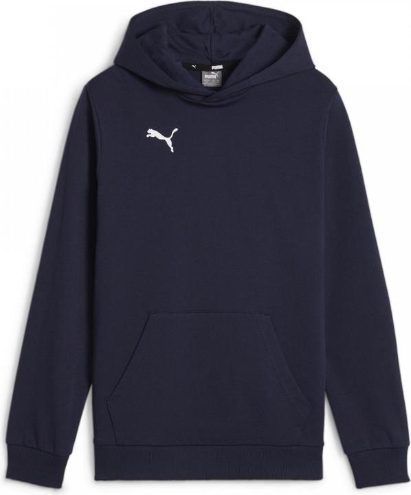 Actual product image Puma teamGOAL Casuals Hoody Jr (116)