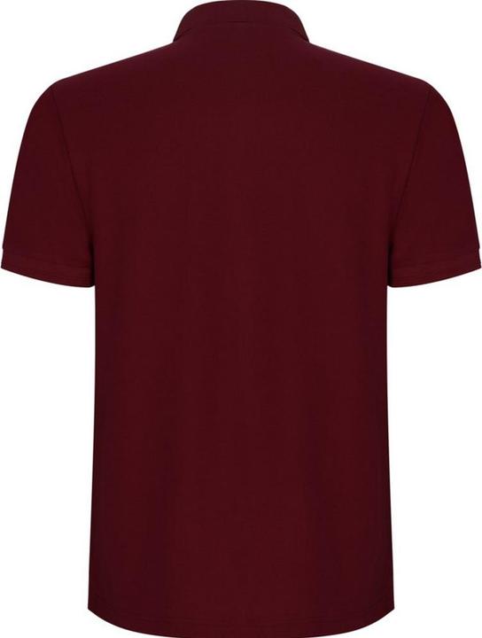 Produktbild Alpinia Pegaso Premium Poloshirt kurzärmlig (S)