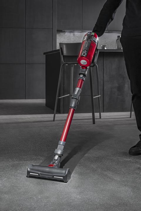 Actual product image Rowenta X-Force Flex 11.60 Animal