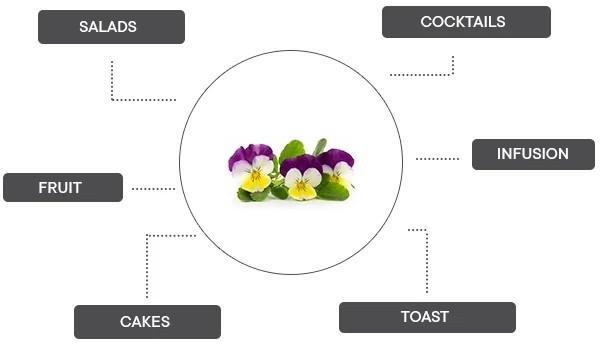 Immagine prodotto Véritable Viole del pensiero biologiche (Semi di piante)