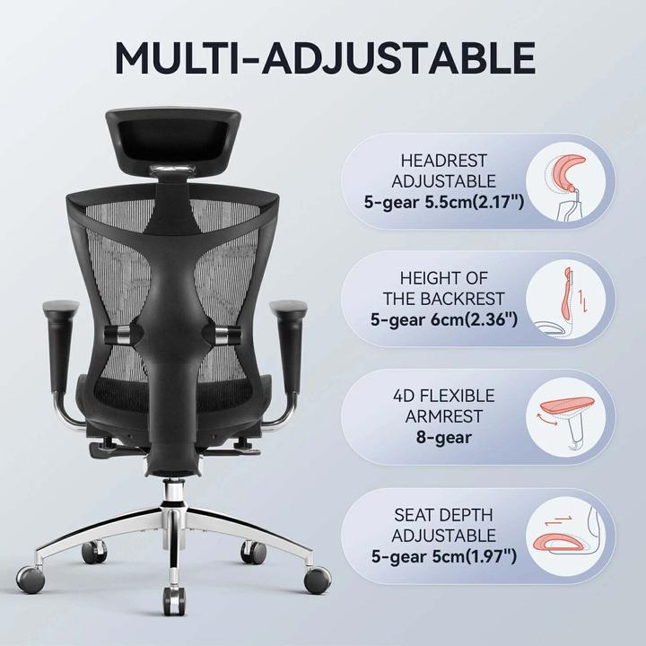 Immagine prodotto Sihoo V1 Ergonomic Office Chair, gray
