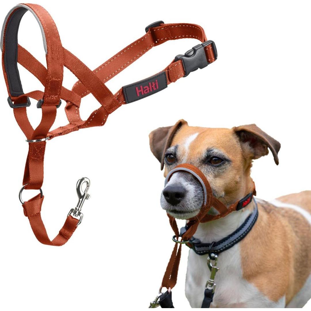 Comparer les prix de Muselière Company of Animals BURNT Orange Taille 1