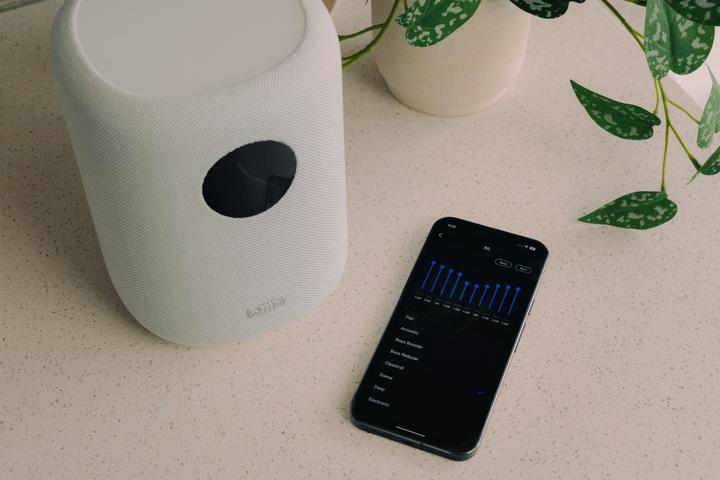 Image du produit WiiM Son Lpwisndw (Amazon Alexa, Apple Siri, Assistant Google)