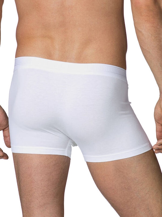 Immagine prodotto Calida Focus (XL, Confezione singola)