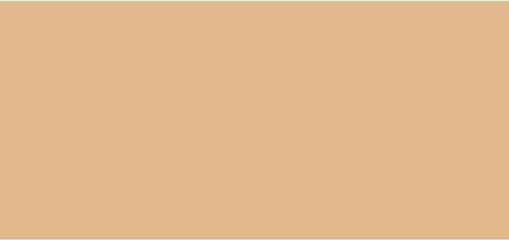 Produktbild NARS Cosmetics Light Reflecting Foundation (Santa Fe)