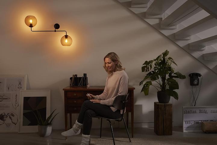 Image du produit Ledvance Vintage 1906 Globe Double (E27)