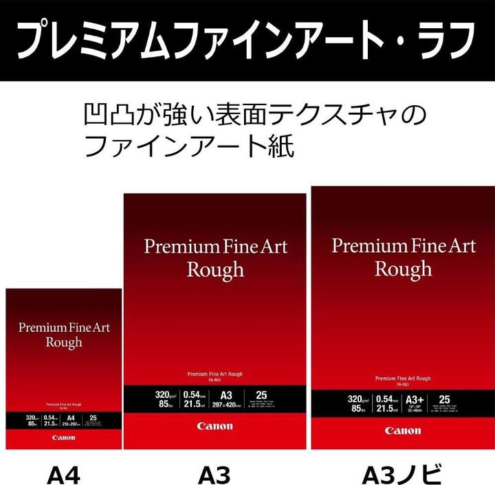 Actual product image Canon Fine Art (310 g/m², A3+, 25 pcs.)