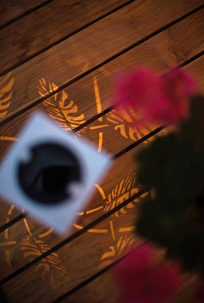 Image du produit Star Trading Décoration intérieure Windo