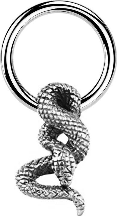 Produktbild Star Piercing Closure Ring silber Schlange silber (Messing, Chirurgenstahl 316L)
