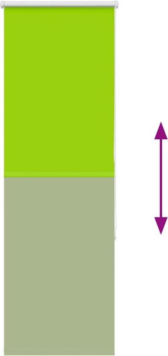 Actual product image vidaXL Verdunkelungsrollo (50 x 175 cm)