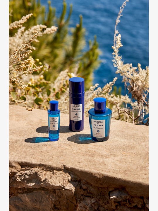 Actual product image Acqua Di Parma Fico di Amalfi (Body cream, 150 ml)