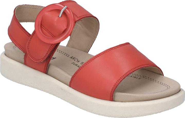 Actual product image Westland 25408-409 (42)