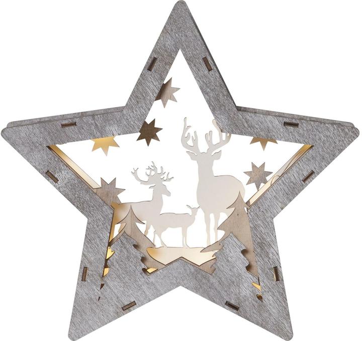 Star Trading Fauna Stern