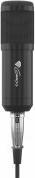 Actual product image Genesis Radium 300 XLR Studio Microphone