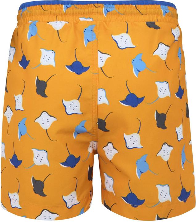 Immagine prodotto Regatta Skander III Costume Bermuda Pastinaca Ragazzi (164)