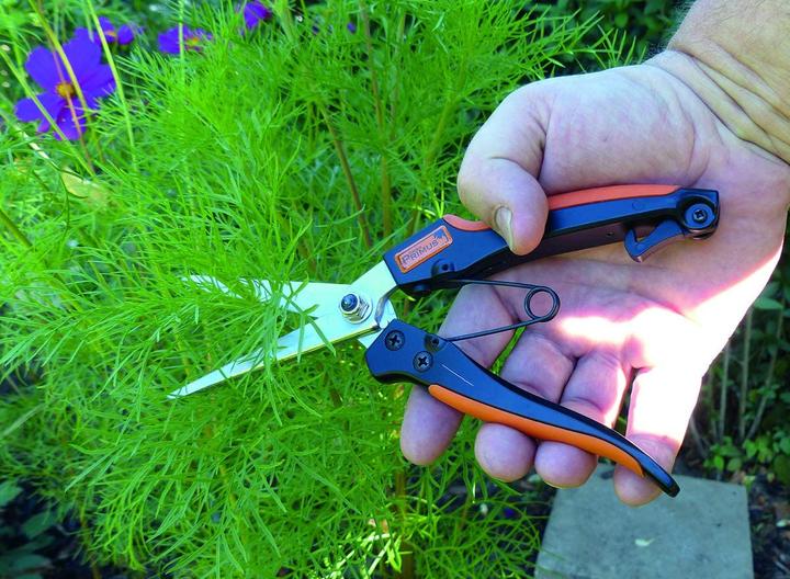 Actual product image Garten Primus Perennial herb shears