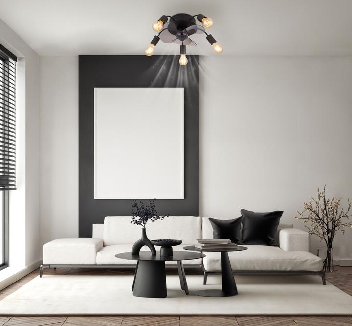 Actual product image Globo Alisha (54 dB)