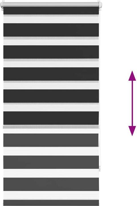 Produktbild vidaXL Doppelrollo (60 x 120 cm)