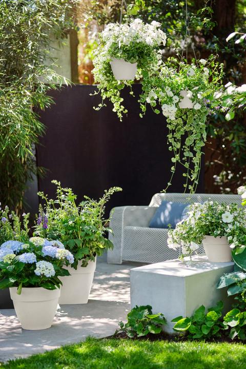 Produktbild Elho Vibia Campana (25 x 21 cm)