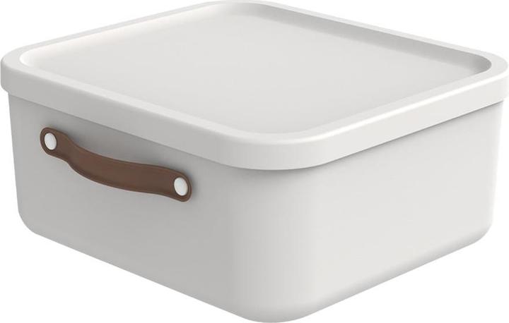 Rotho Aufbewahrungsbox (20 l)
