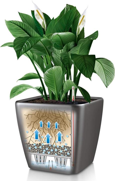 Produktbild Lechuza Quadro LS (35.50 x 35.50 x 32.50 cm)