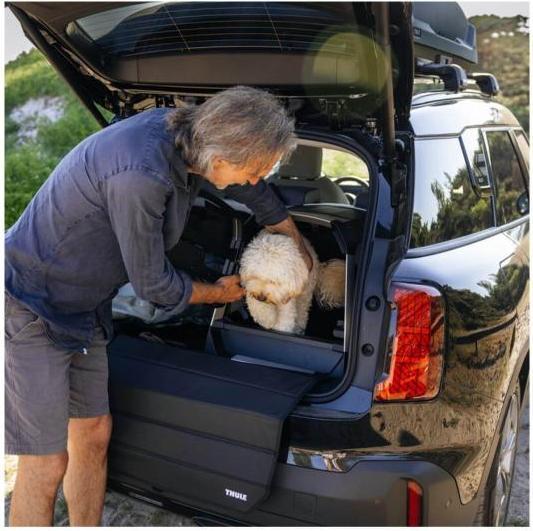 Actual product image Thule Allax for loading sill (Dog)
