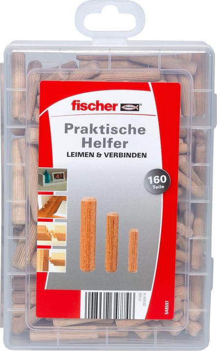 Actual product image Fischer EasyDIY Box wooden dowels (160 pcs.)