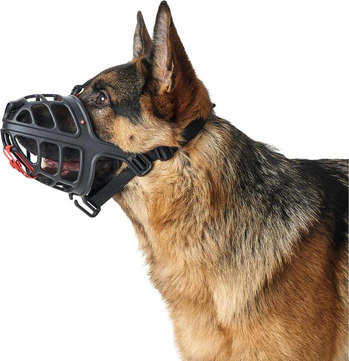Actual product image Hunter Albury - Dog muzzle - 2 (Dog, General, Walks)