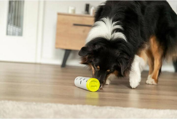 Immagine prodotto Trixie Cane Attività Snack Roll ø 6cm/ø 5×14cm (Cane da snack)