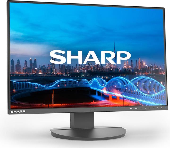 NEC Multisync DD-EA241W (1920 x 1200 pixels, 24")