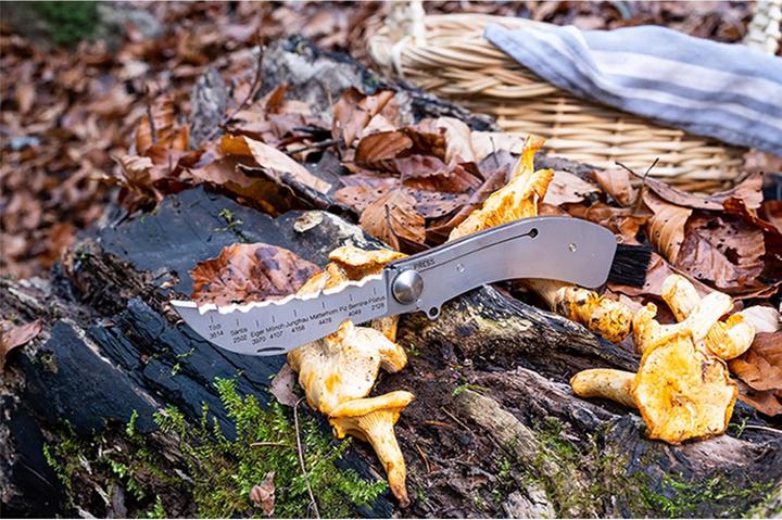 Produktbild Panorama Knife Pilzmesser (10 cm)