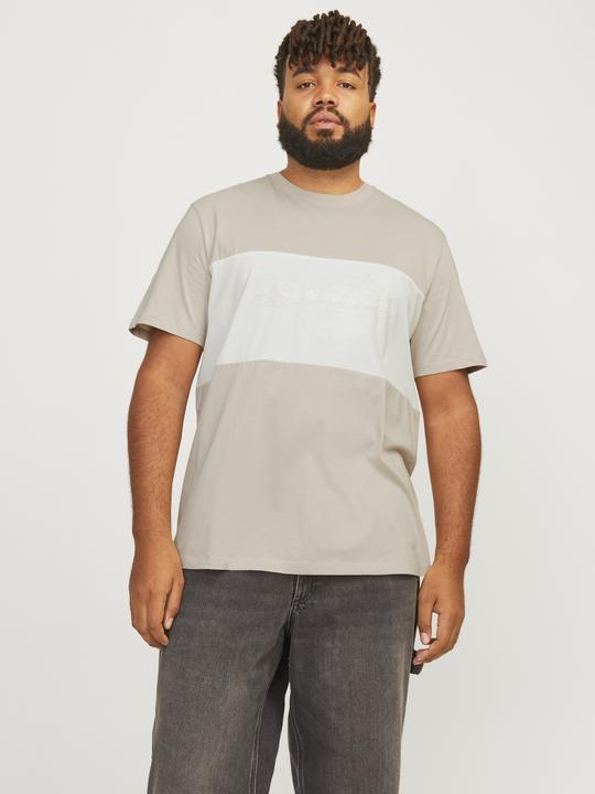 Produktbild Jack & Jones Jjelegacy Blocking Tee Ss O-Neck Noo Pls (8XL)