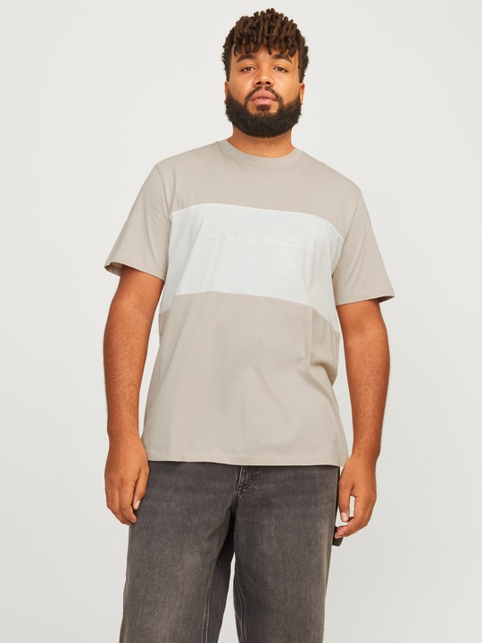 Image du produit Jack & Jones Jjelegacy Blocking Tee Ss O-Neck Noo Pls (8XL)