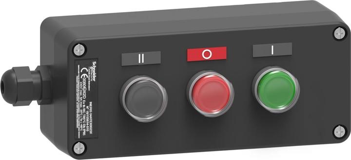Image du produit Schneider Electric Station à boutons-poussoirs XAWG310EX