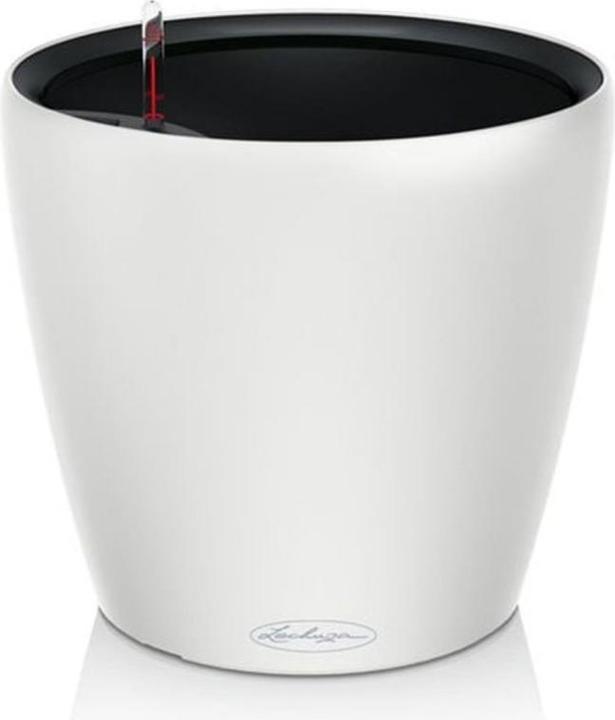 Actual product image Lechuza Classico Colour.