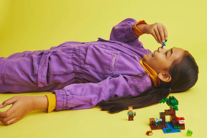 Image du produit LEGO L'aventure des marais (21240, LEGO Minecraft)
