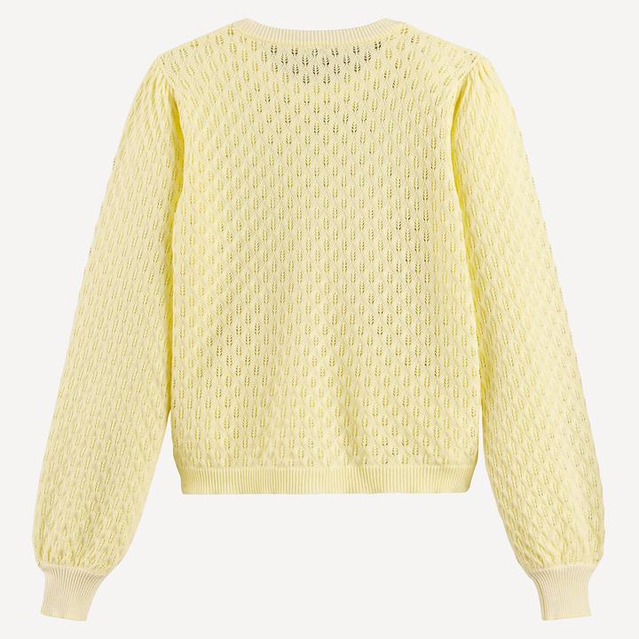 Produktbild La Redoute Collections Pullover aus Lochstrick (140)