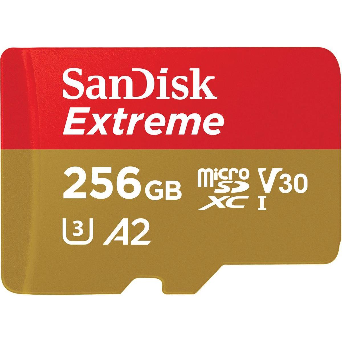 SANDISK Extreme UHS-I V30 (256 GB, microSDXC, U3, UHS-I), Scheda di memoria, Rosso, Oro