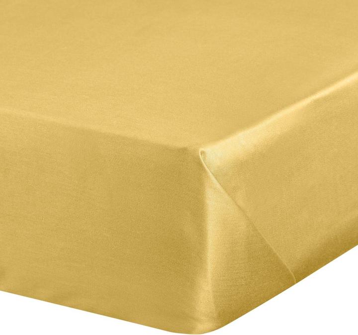 Actual product image Eurofirany By (220 x 210 cm)