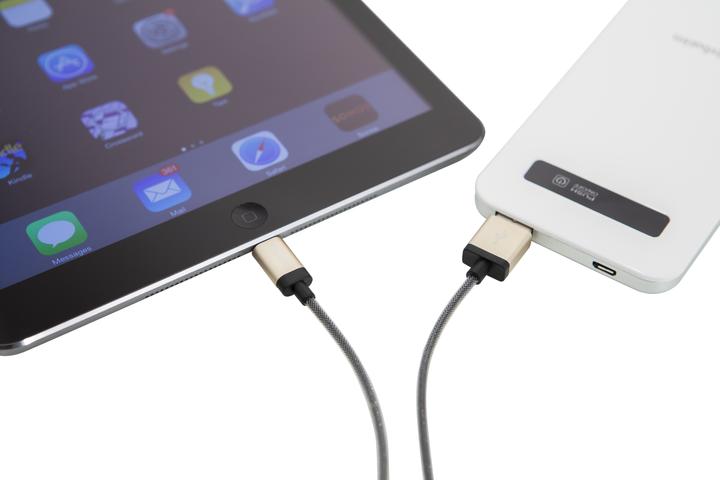 Image du produit Verbatim Câble Lightning - Or champagne - (0.30 m, USB 2.0)