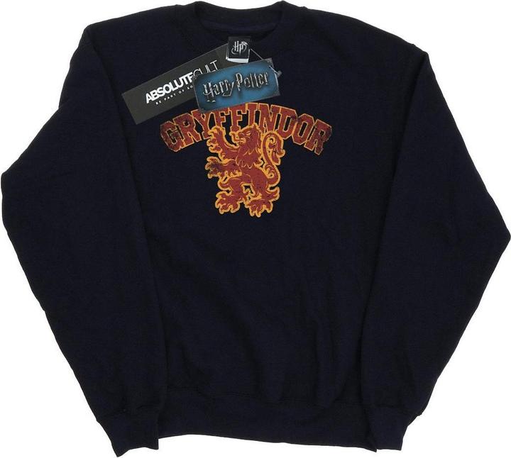Immagine prodotto Gryffindor Sport Emblem Felpa Donna (XXL)