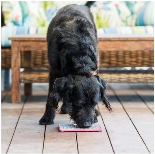 Image du produit LickiMat Playdate (7.20 cl)