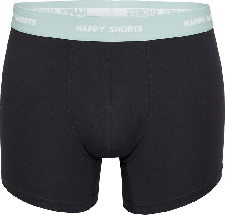Actual product image Phil & Co. Berlin Retro Pants All Styles (L, pack of 4)