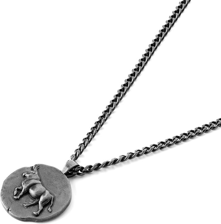 Immagine prodotto Lucleon Astro (Acciaio inossidabile chirurgico, Metallo)