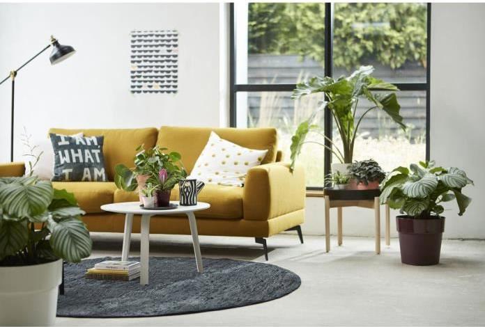 Produktbild Elho B.for Original (22 x 20.30 cm)