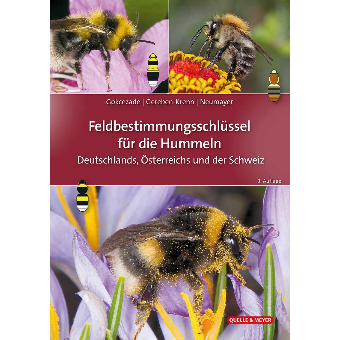 Thumbnail - Feldbestimmungsschlüssel für die Hummeln Deutschlands, Österreichs und der Schweiz, Ratgeber von Johann Neumayer, Joseph...